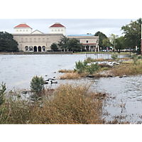 2018 Norfolk CTK Kingtide Mapping image